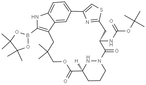 INDEX NAME NOT YET ASSIGNED Struktur