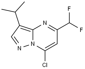 Pyrazolo[1,5-a]pyrimidine, 7-chloro-5-(difluoromethyl)-3-(1-methylethyl)- Struktur