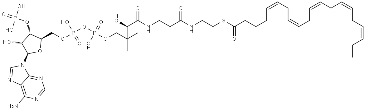 Coenzyme A, S-(5Z,8Z,11Z,14Z,17Z)-5,8,11,14,17-eicosapentaenoate Struktur