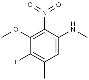 4-Iodo-3-methoxy-N,5-dimethyl-2-nitrobenzenamine Struktur