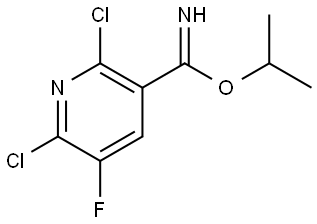 isopropyl 2,6-dichloro-5-fluoro-pyridine-3-carboximidate Struktur