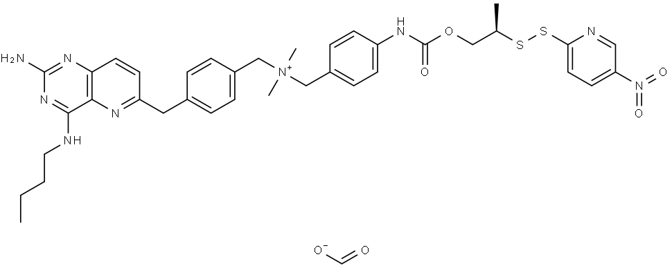 bHLHb40 Struktur