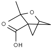 3,3-Dimethyl-2-oxabicyclo[2.1.1]hexane-4-carboxylic acid Struktur