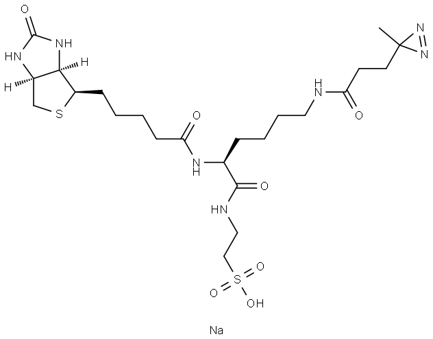 sodium 2-((S)-6-(3-(3-methyl-3H-diazirin-3-yl)propanamido)-2-(5-((3aR,4R,6aS)-2-oxohexahydro-1H-thieno[3,4-d]imidazol-4-yl)pentanamido)hexanamido)ethane-1-sulfonate Struktur