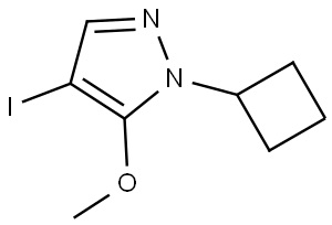 1H-Pyrazole, 1-cyclobutyl-4-iodo-5-methoxy- Struktur