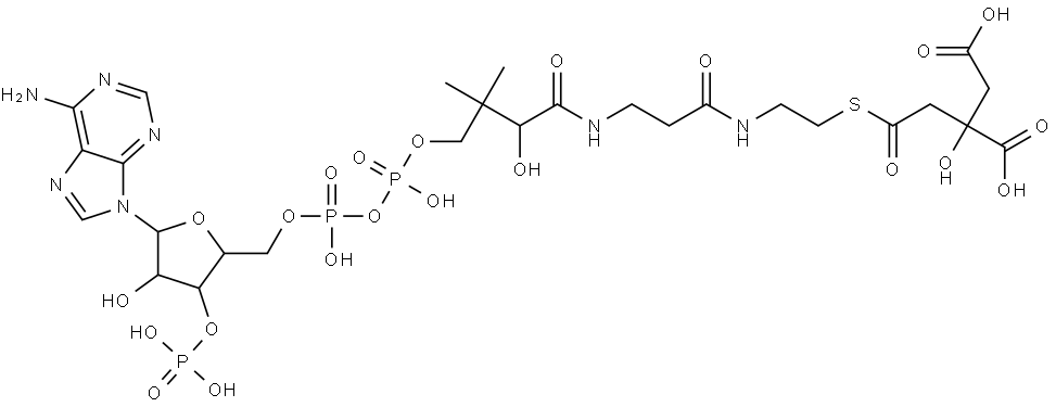 citryl-coenzyme A Struktur