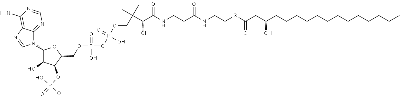 Coenzyme A, S-[(3R)-3-hydroxyhexadecanoate] Struktur