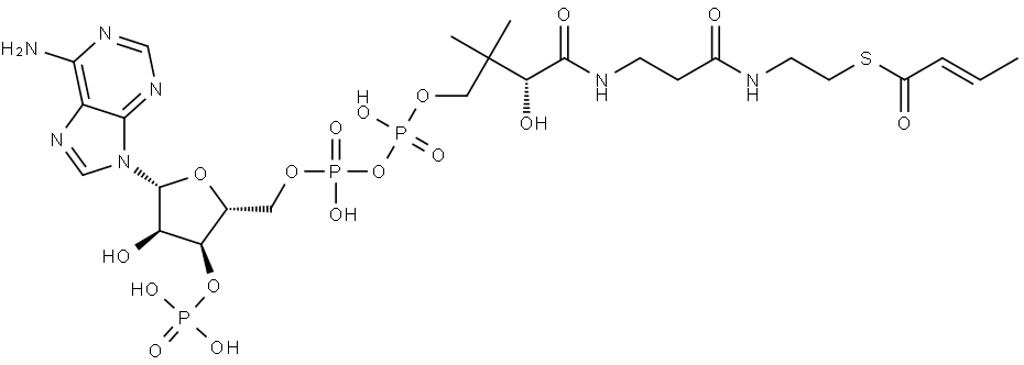 Coenzyme A, S-(2E)-2-butenoate Struktur