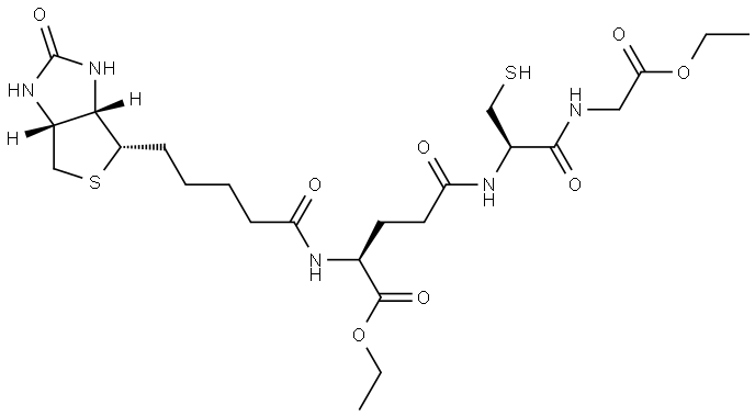 BioGEE Struktur