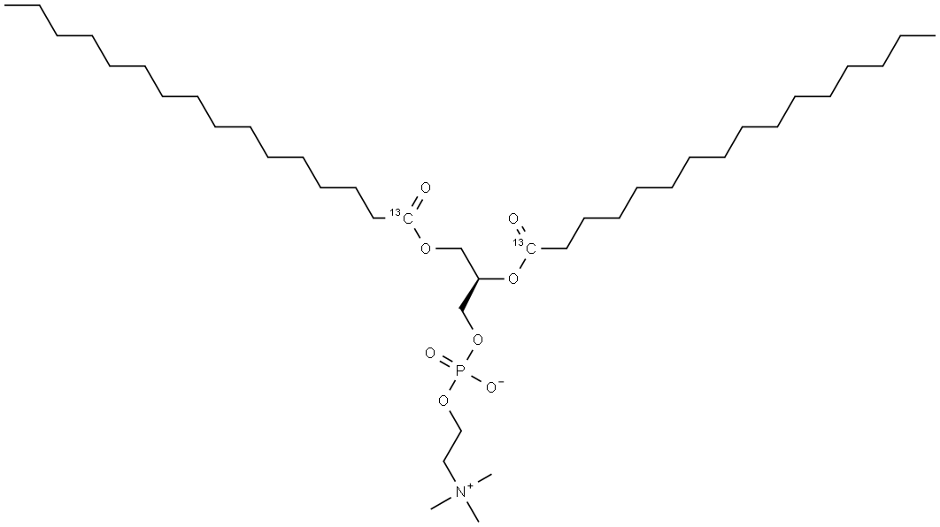 1,2-Dipalmitoyl-13C-sn-glycero-3-PC Struktur