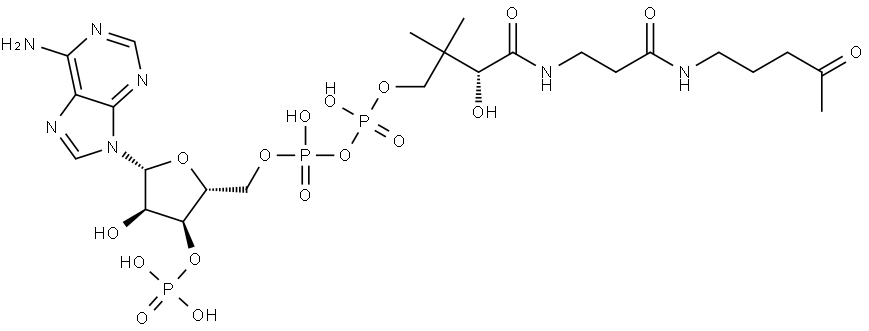 Adenosine 5'-(trihydrogen diphosphate), 3'-(dihydrogen phosphate), P'-[(3R)-3-hydroxy-2,2-dimethyl-4-oxo-4-[[3-oxo-3-[(4-oxopentyl)amino]propyl]amino]butyl] ester Struktur