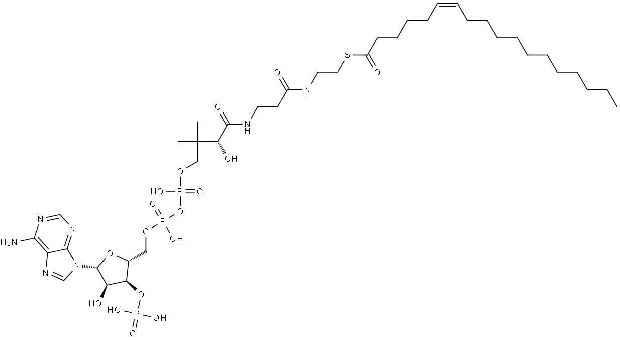 Coenzyme A, S-6-octadecenoate, (Z)- (9CI) Struktur