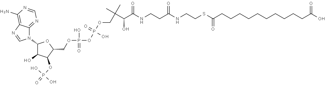 Dodecanedioyl CoA

DISCONTINUED. Please see D495064. Struktur