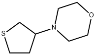 4-tetrahydrothiophen-3-yl-Morpholine Struktur