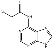 2-Chloro-N-(1H-purin-6-yl)acetamide Struktur