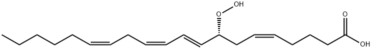 8-hydroperoxyeicosatetraenoic acid Struktur