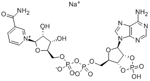 2':3'-CYCLIC NADP SODIUM SALT Struktur