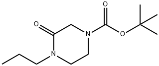 tert-butyl 3-oxo-4-propylpiperazine-1-carboxylate Struktur