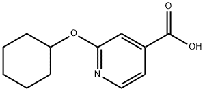 2-(cyclohexyloxy)pyridine-4-carboxylic acid Struktur