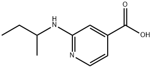 2-(sec-Butylamino)isonicotinic acid Struktur