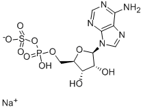 APS SODIUM SALT Struktur