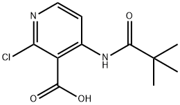 2-CHLORO-4-PIVALAMIDONICOTINIC ACID Struktur