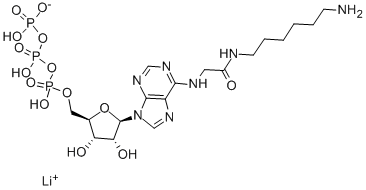 N6-([6-AMINOHEXYL]CARBAMOYL-METHYL)ADENOSINE 5'-TRIPHOSPHATE LITHIUM SALT Struktur