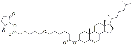 cholesteryl 5-carboxypentyl ether N-hydroxysuccinimide ester Struktur