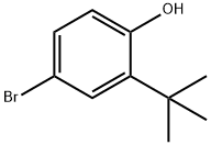 4-BROMO-2-TERT-BUTYLPHENOL