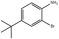 2-溴-4-叔丁基苯胺 結構式