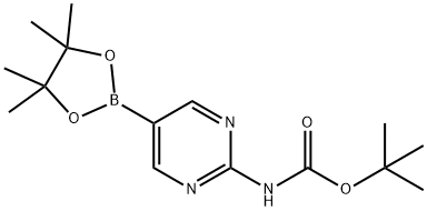 2-(TERT-BUTOXYCARBONYLAMINO)PYRIMIDINE-5-BORONIC ACID, PINACOL ESTER|[2-(叔丁氧羰基氨基)嘧啶-5-基]硼酸頻哪醇酯