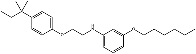 3-(Hexyloxy)-N-{2-[4-(tert-pentyl)phenoxy]-ethyl}aniline Struktur