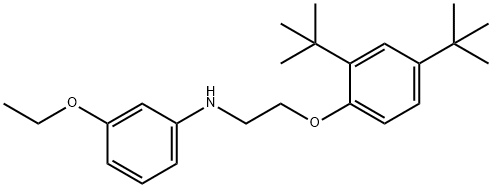 N-{2-[2,4-Di(tert-butyl)phenoxy]ethyl}-3-ethoxyaniline Struktur