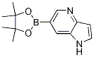 6-(4,4,5,5-TETRAMETHYL-1,3,2-DIOXABOROLAN-2-YL)-1H-PYRROLO[3,2-B]PYRIDINE Struktur