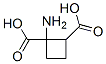 1,2-Cyclobutanedicarboxylic  acid,  1-amino- Struktur