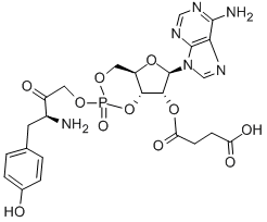 2'-O-MONOSUCCINYLADENOSINE 3':5'-CYCLIC MONOPHOSPHATE TYROSYL METHYL ESTER Struktur