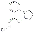 3-Pyridinecarboxylic acid, 2-(1-pyrrolidinyl)-, hydrochloride Struktur