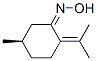 Cyclohexanone, 5-methyl-2-(1-methylethylidene)-, oxime, [R-(Z)]- (9CI) Struktur