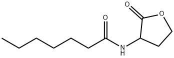 N-HEPTANOYL-DL-HOMOSERINE LACTONE price.