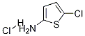 5-chlorothiophen-2-aMine hydrochloride Struktur