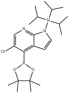 5-CHLORO-4-(4,4,5,5-TETRAMETHYL-[1,3,2]DIOXABOROLAN-2-YL)-1-TRIISOPROPYLSILANYL-1H-PYRROLO[2,3-B]PYR Struktur