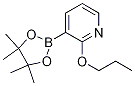 2-PROPOXYPYRIDINE-3-BORONIC ACID PINACOL ESTER Struktur