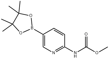 2-Methoxycarbonylaminopyridine-5-boronic acid, pinacol ester Struktur