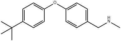 N-[4-(4-tert-Butylphenoxy)benzyl]-N-methylamine Struktur