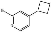 2-broMo-4-cyclobutylpyridine Struktur