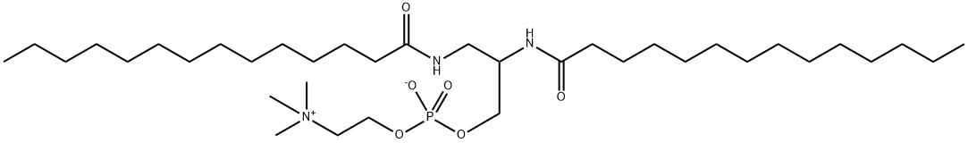 DDPC Struktur