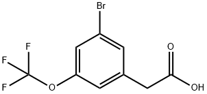 3-BroMo-5-(trifluoroMethoxy)-phenylacetic acid Struktur