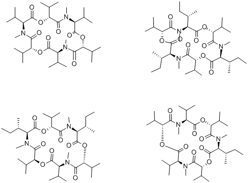 ENNIATIN FROM MICROBIAL SOURCE Struktur