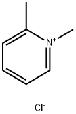 1,6-dimethylpyridine chloride Struktur