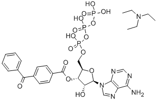 2'- AND 3'-O-(4-BENZOYLBENZOYL)-ADENOSINE 5'-TRIPHOSPHATE TRIETHYLAMMONIUM SALT Structure